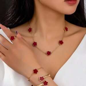 مجموعة اكسسوارات انيقة